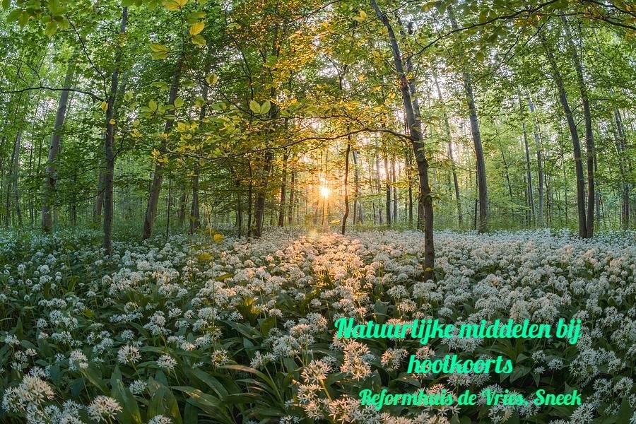 Natuurlijke middelen voor hooikoorts