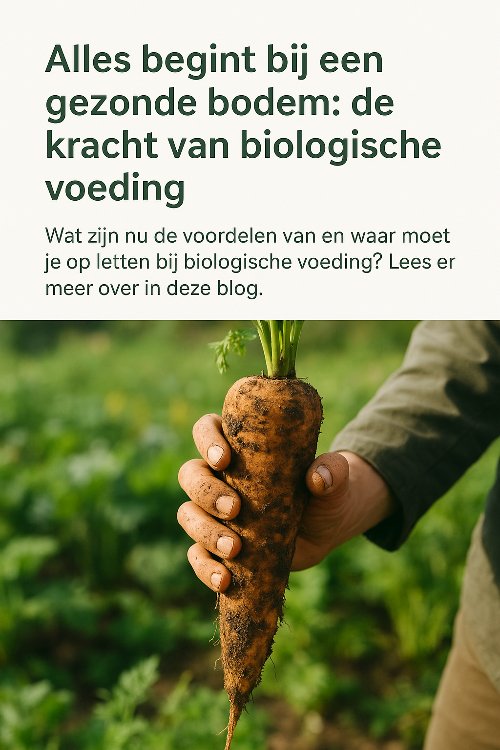 Alles begint bij een gezonde bodem: de kracht van biologische voeding