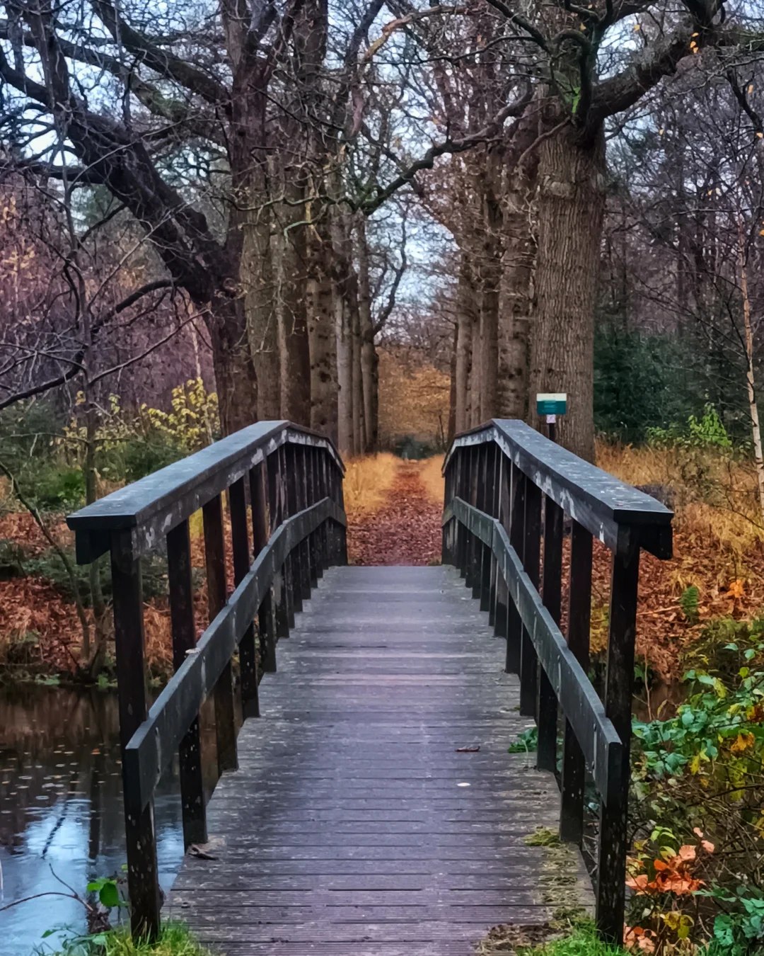 Gezond door de grijze novembermaand