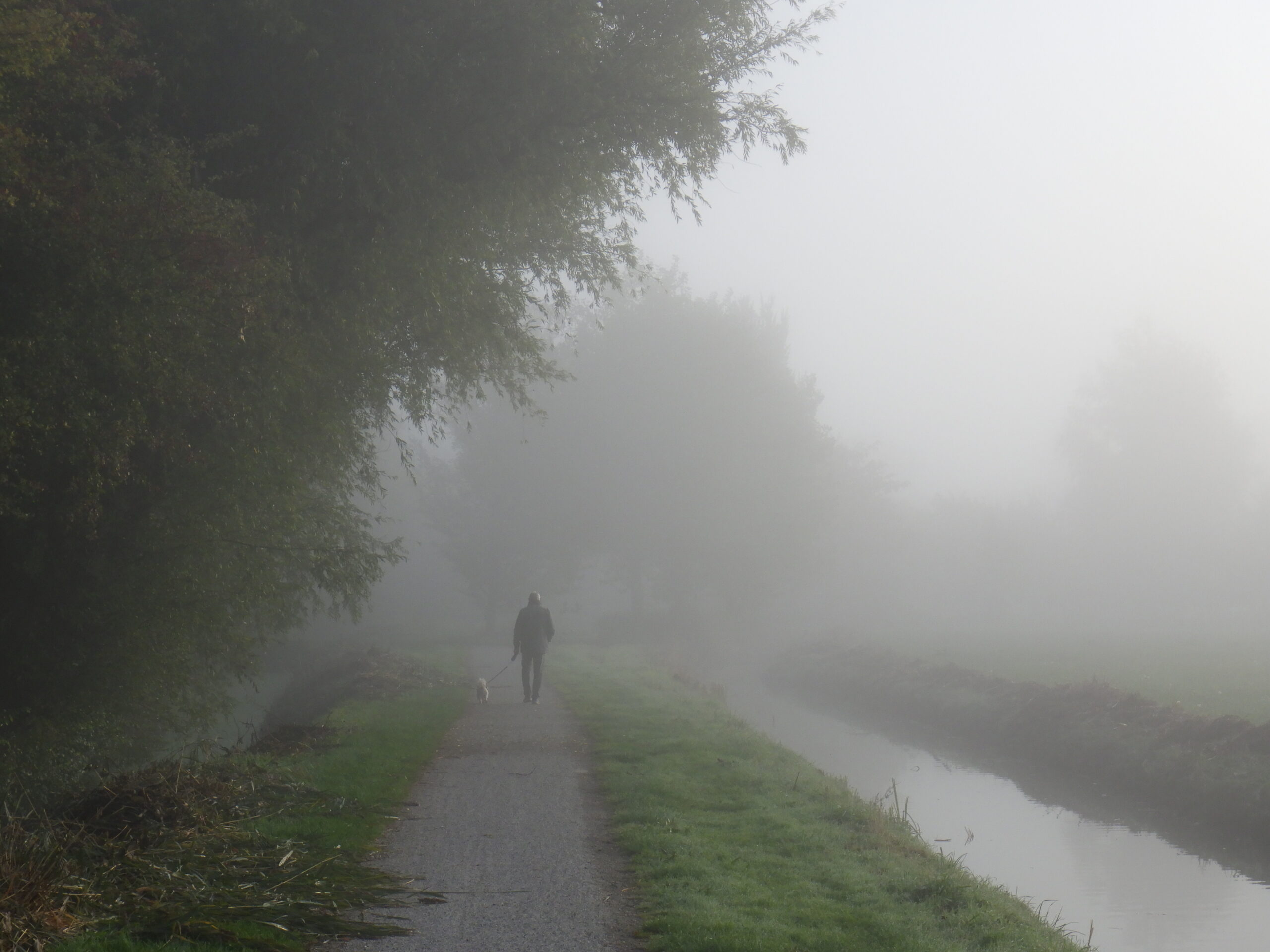 Door voeding meer grip op reuma