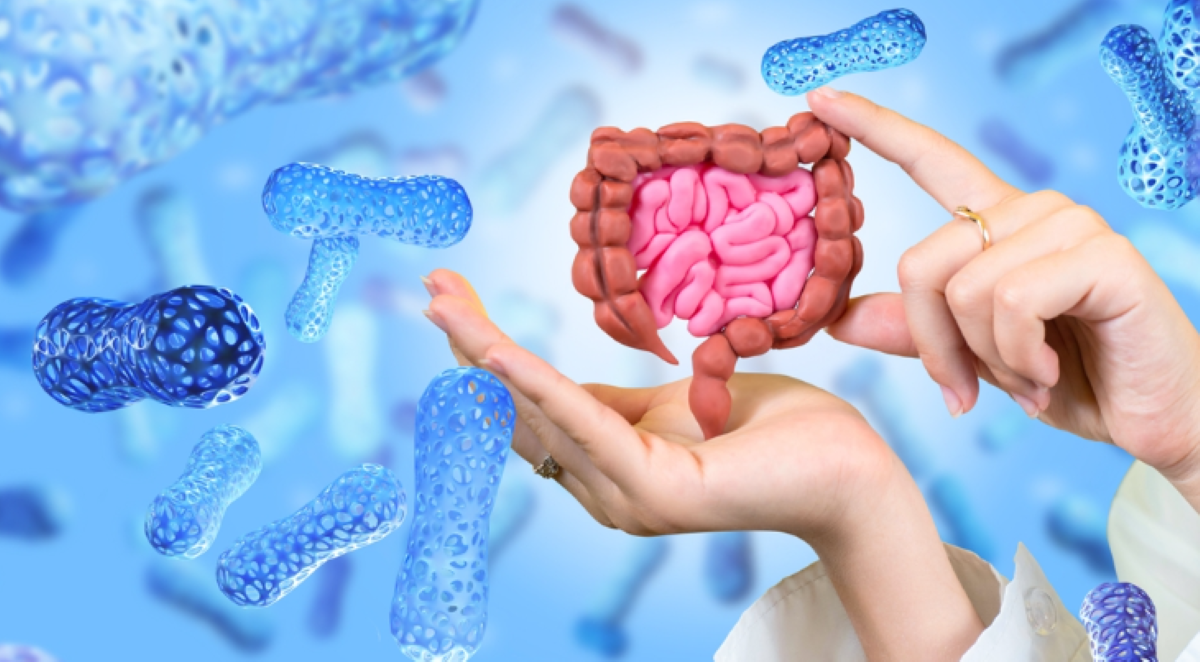 De sleutel tot een goede gezondheid kan liggen in de gezondheid van je darmen.