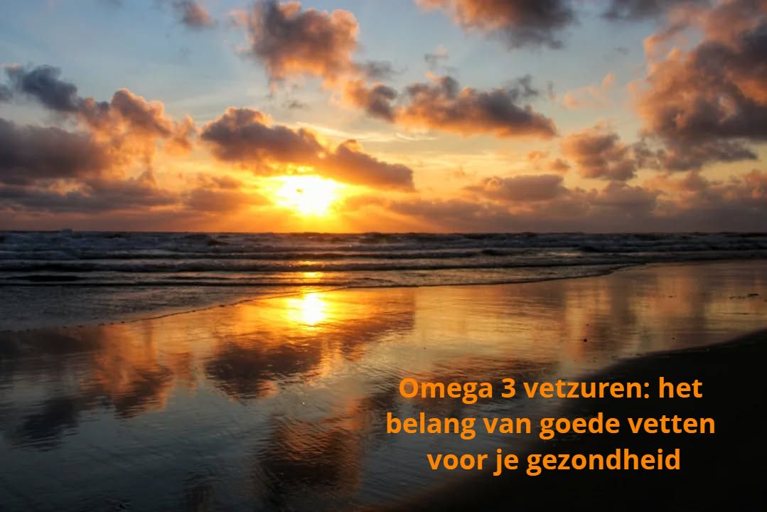 Omega 3 vetzuren: het belang van goede vetten voor je gezondheid